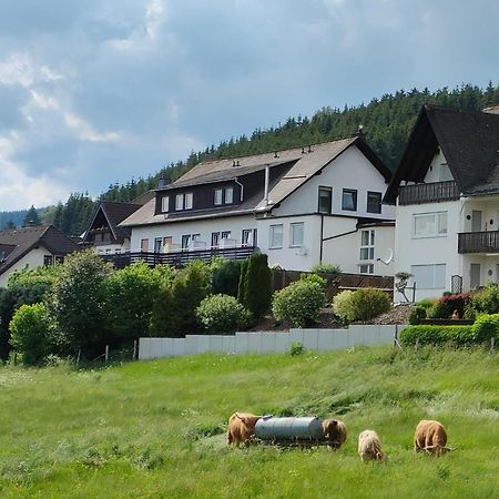 Pension Sauerland Winterberg Extérieur photo