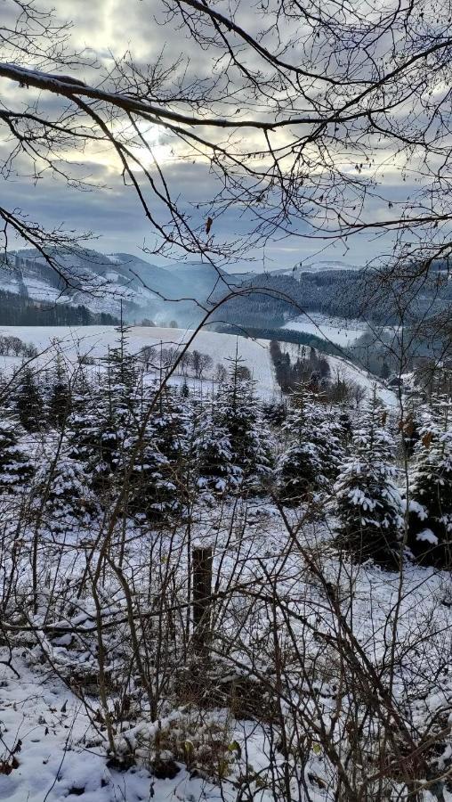Pension Sauerland Winterberg Extérieur photo