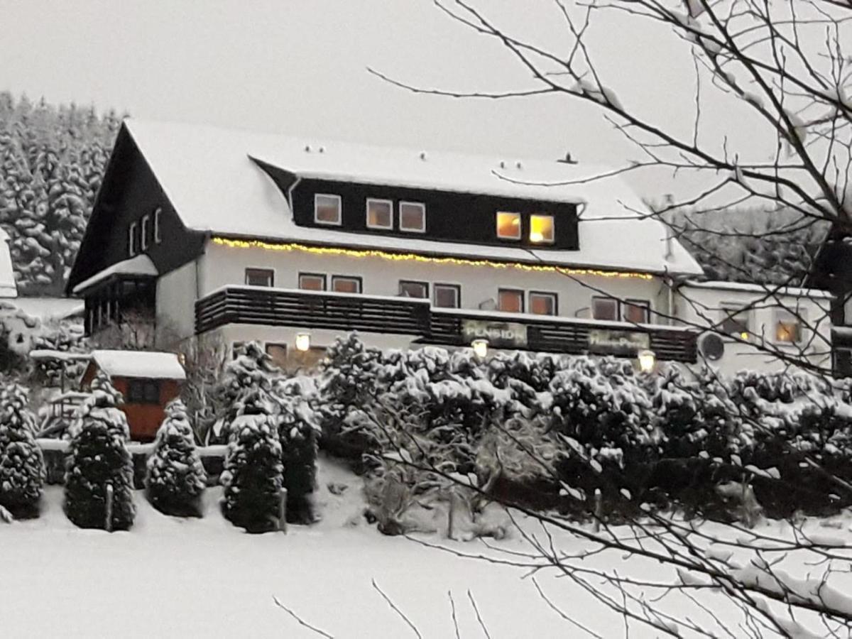Pension Sauerland Winterberg Extérieur photo