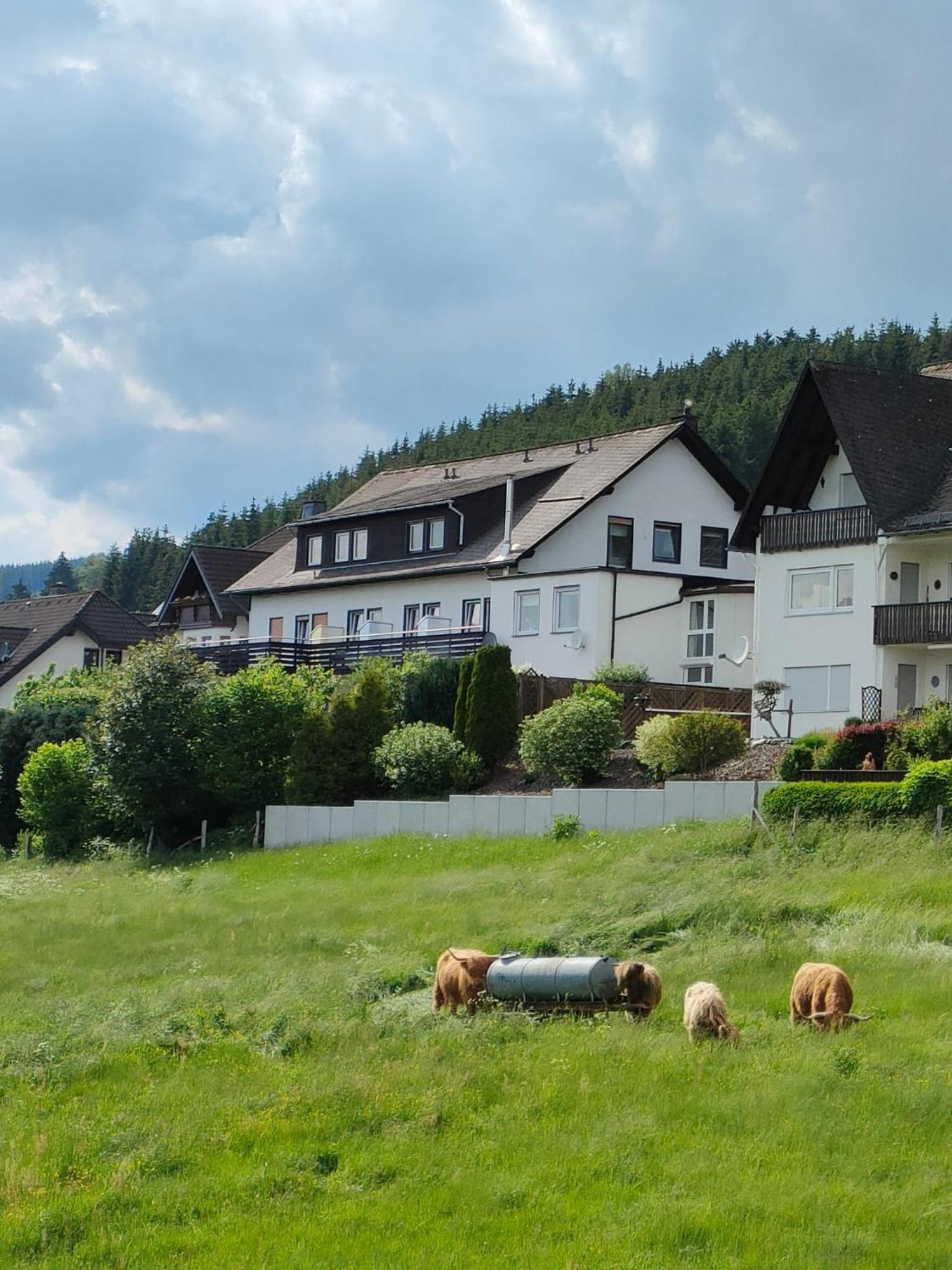 Pension Sauerland Winterberg Extérieur photo